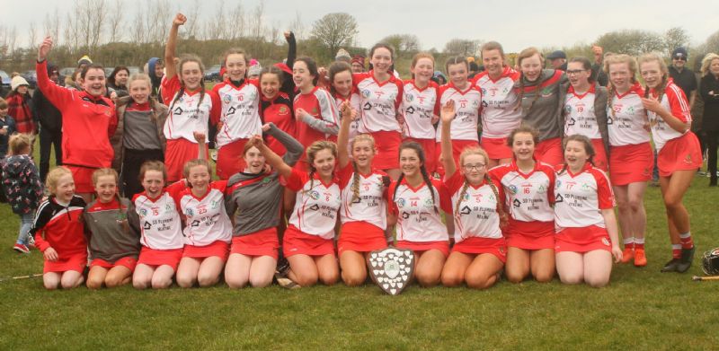 Congrats to the u14 girls All County feile Champions (Pic from The Saffron Gael)